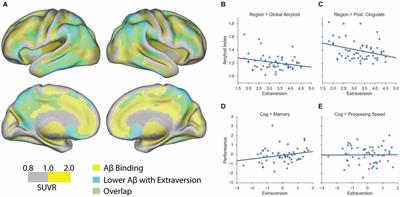 Extraversion Is Associated With Lower Brain Beta-Amyloid Deposition in Cognitively Normal Older Adults